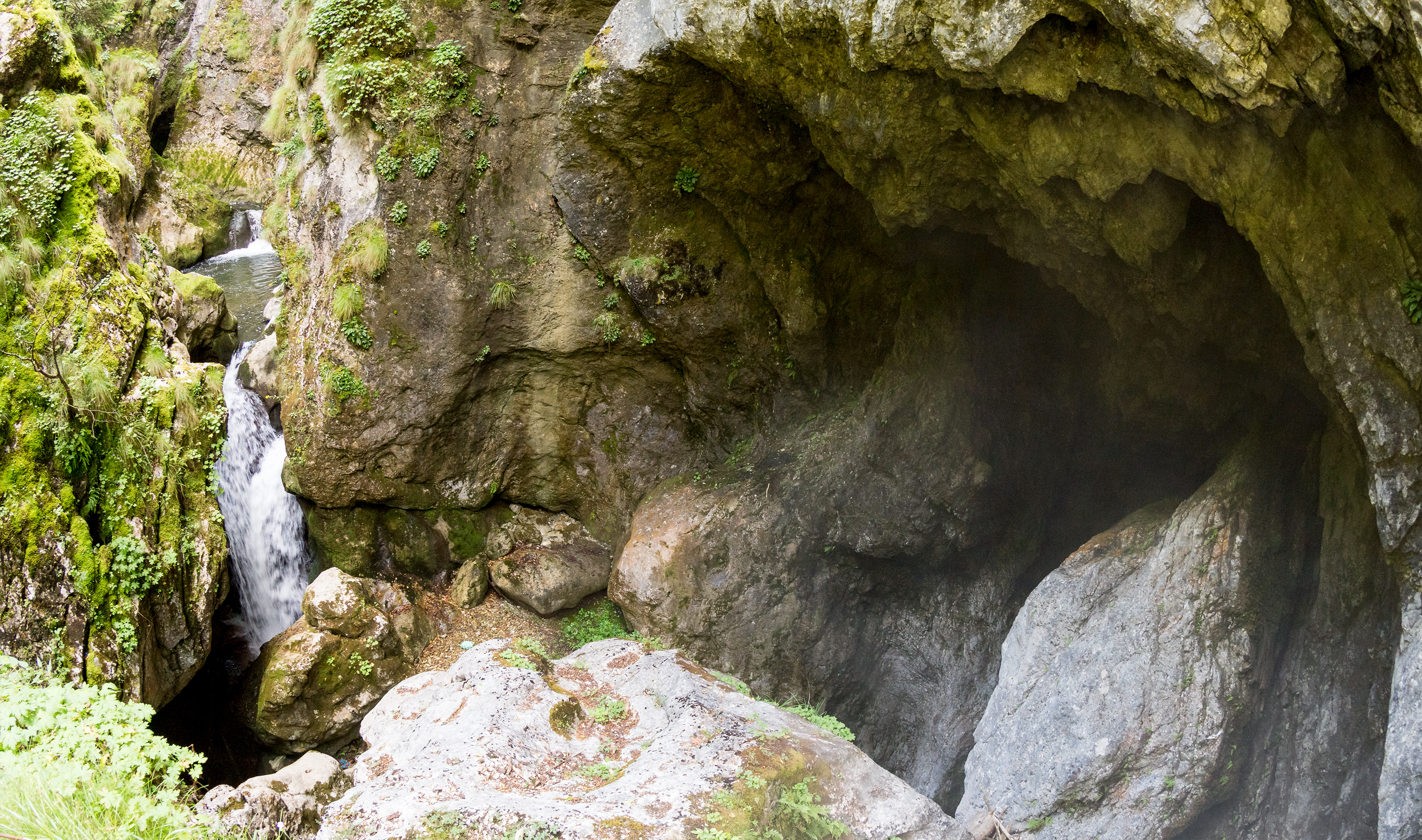 zdroj: bigstockphoto.com Bulharsko2